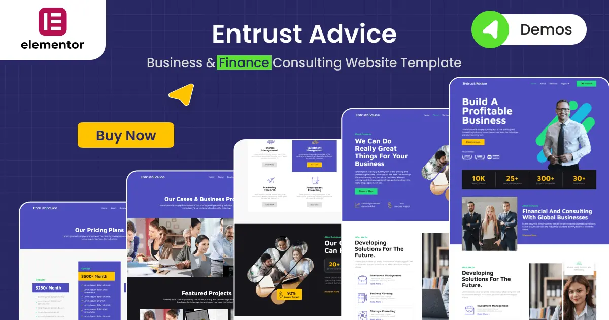 Entrust Advice – A Business Website Consultation Template That Builds Trust and Converts 1 Business website consultation